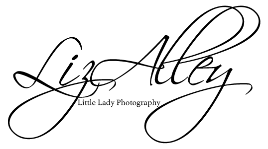 lizschneideralley logo